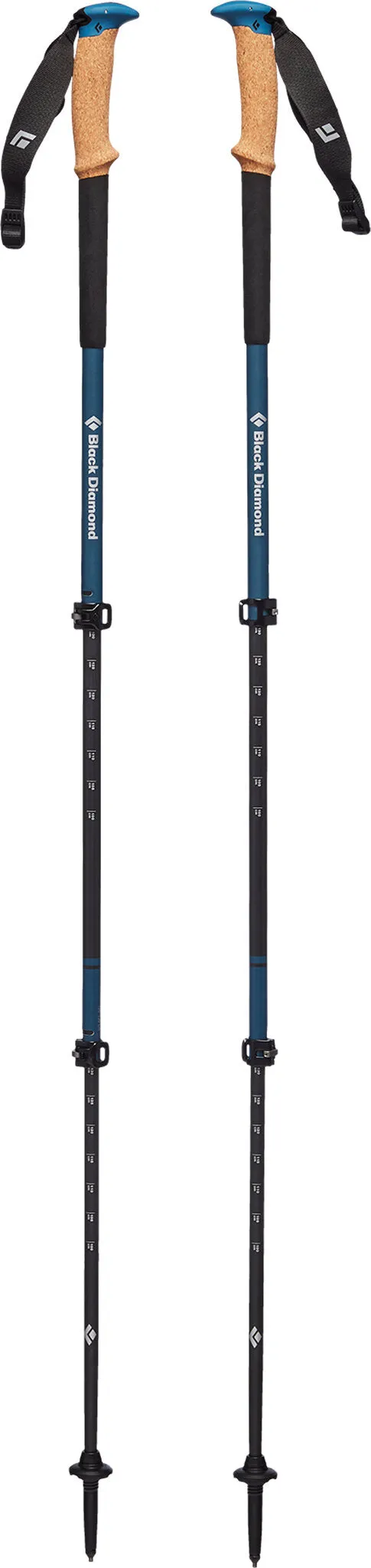 Alpine Carbon Cork WR Trekking Poles - Unisex|-|Btons de randonnée Alpine Carbon Cork WR - Unisexe