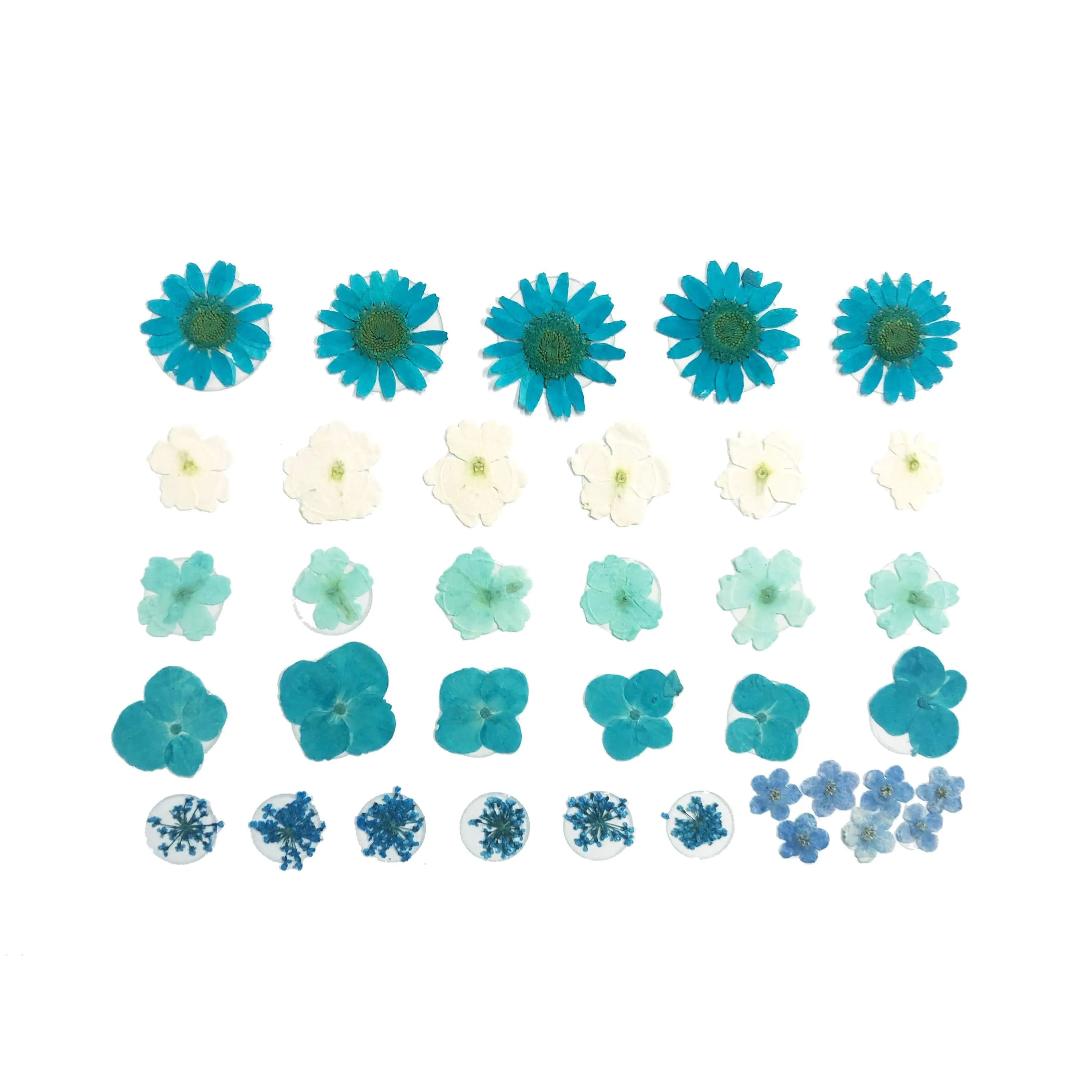 Spring Fling Blue Real Dried Pressed Flower Body Stickers